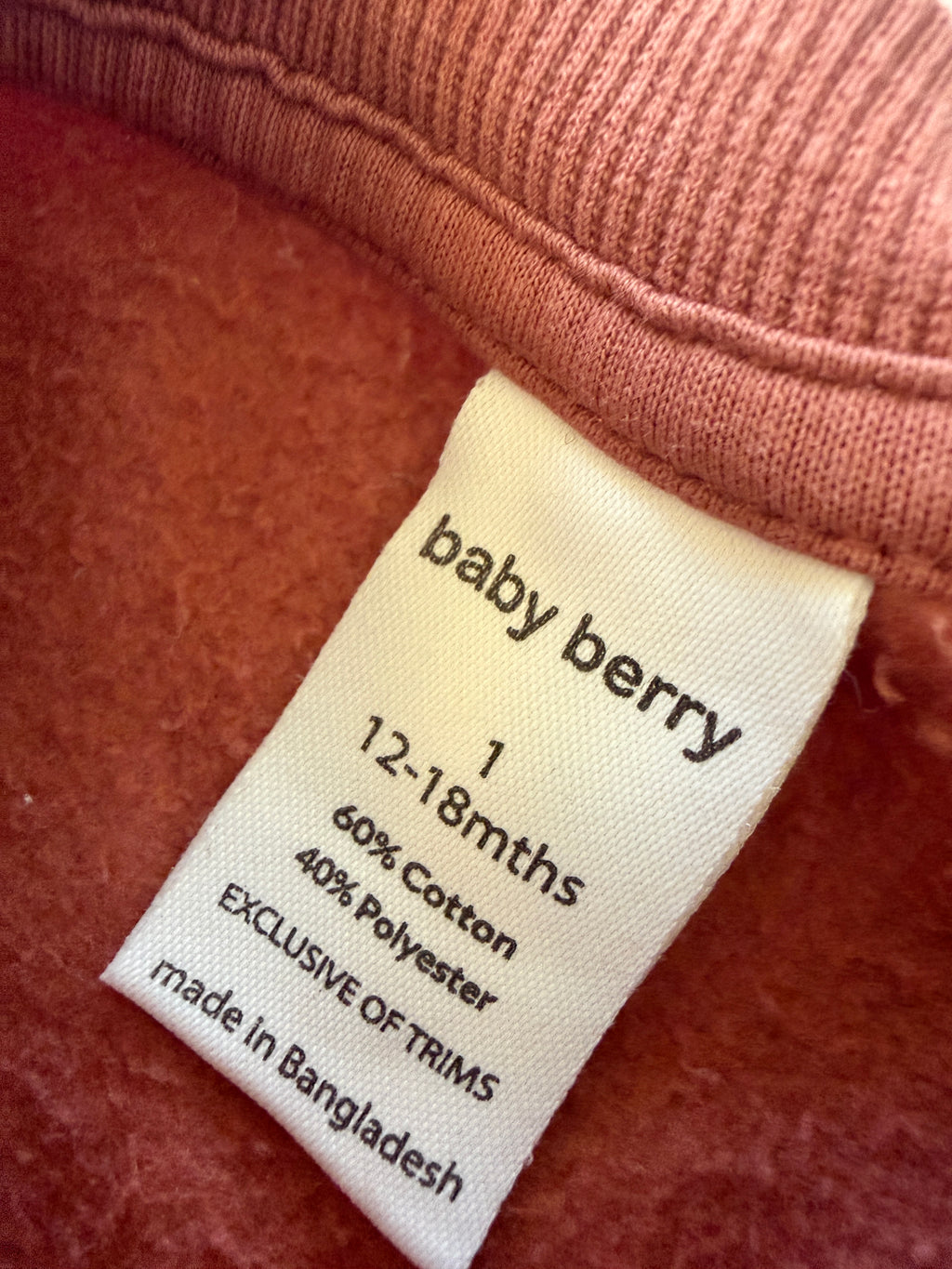 Baby Berry Jumper (12-18M)