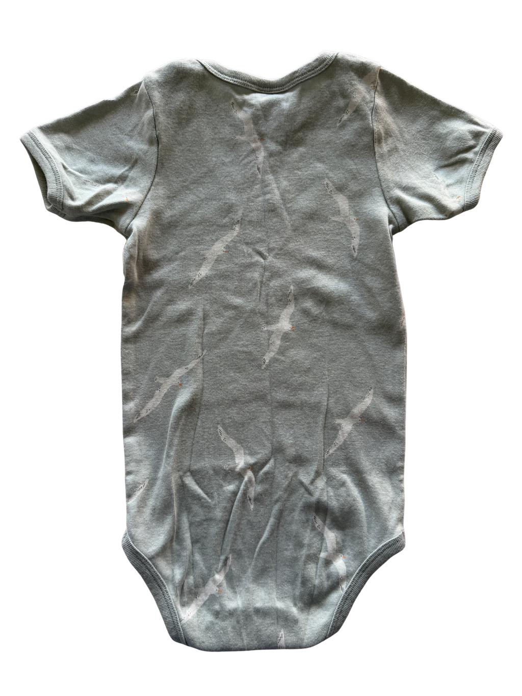 Nature Baby Bodysuit (1)