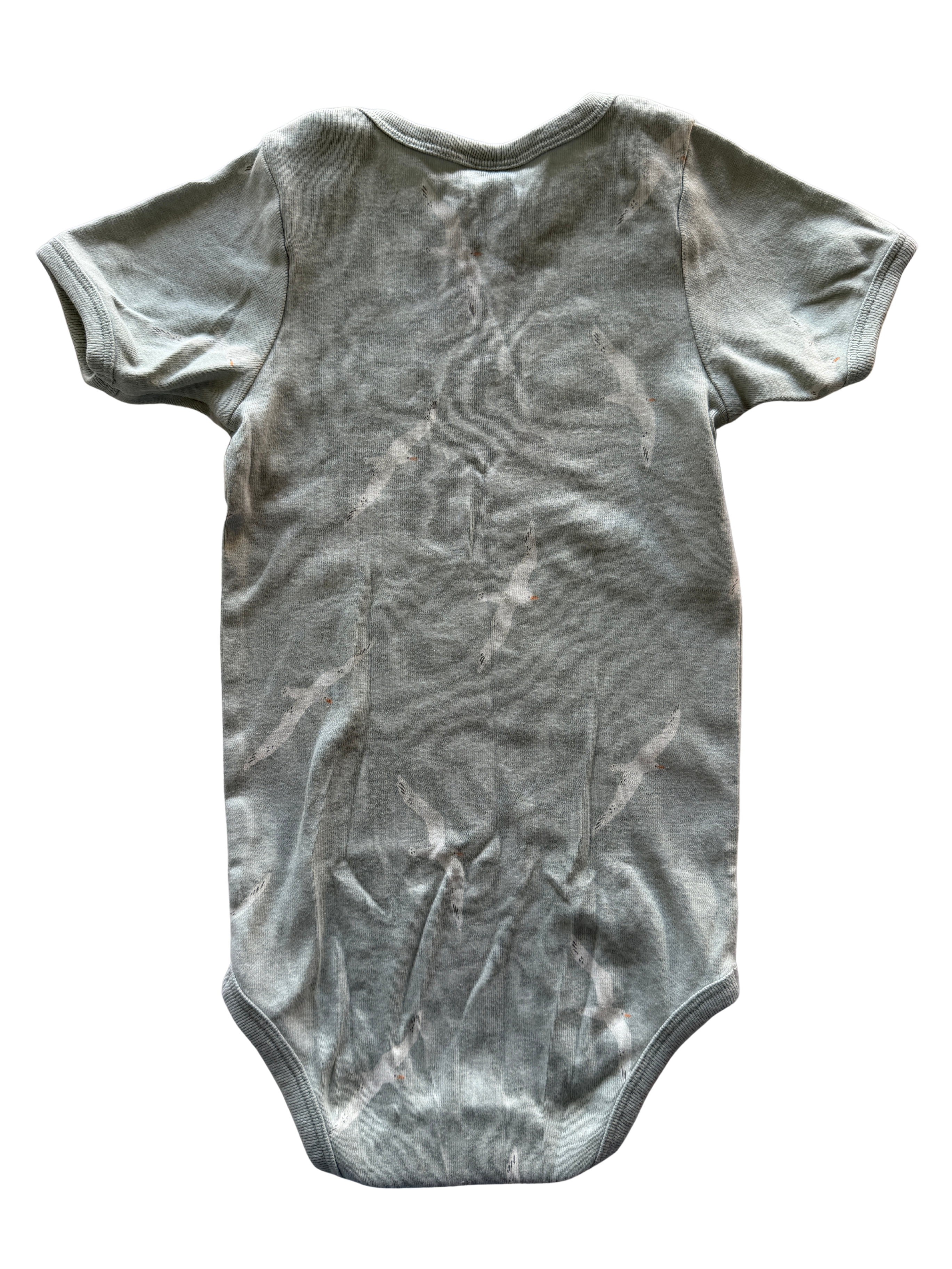 Nature Baby Bodysuit (1)