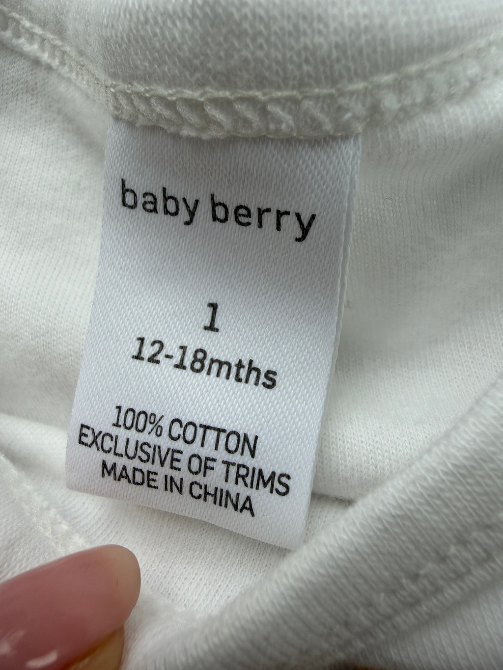 Baby Berry Bodysuit (1)
