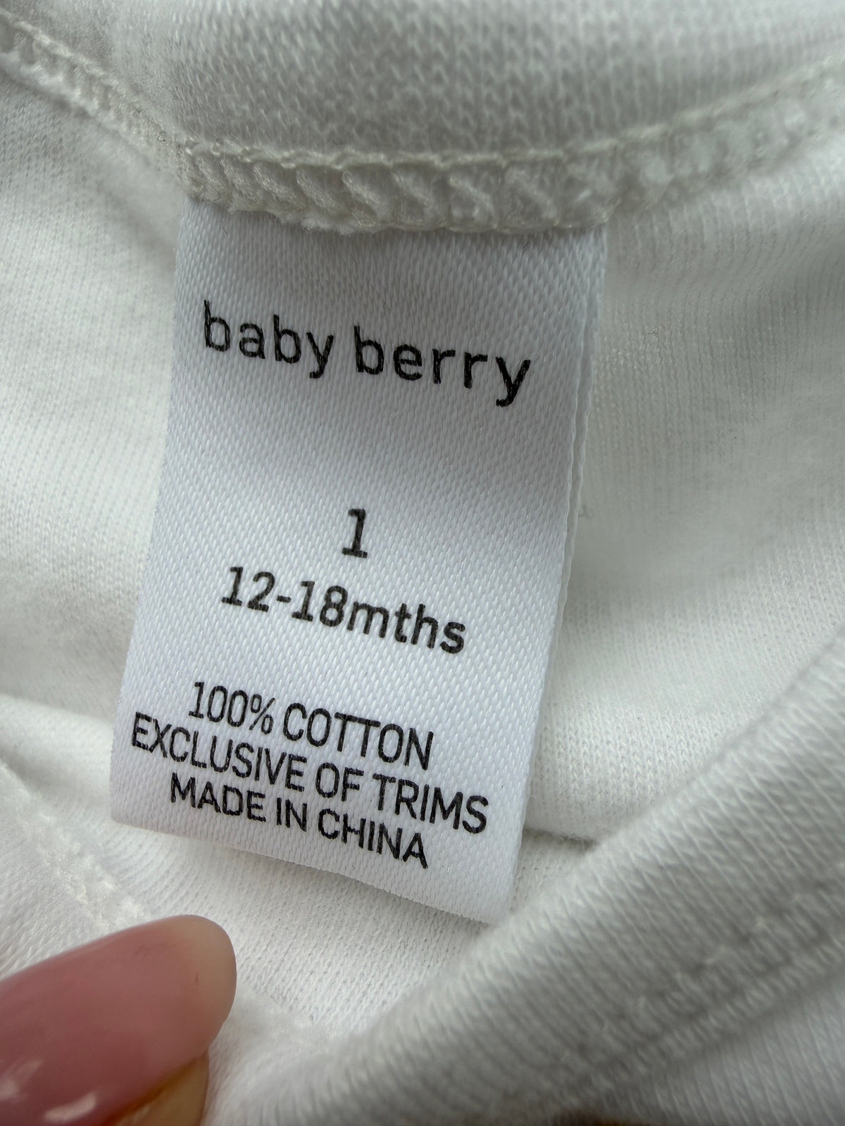 Baby Berry Bodysuit (1)