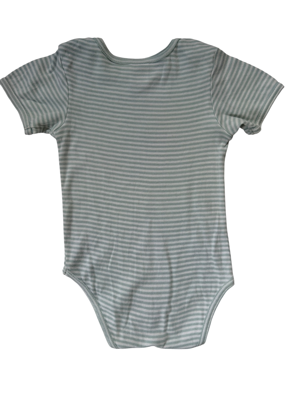 Nature Baby Bodysuit (6-12M)