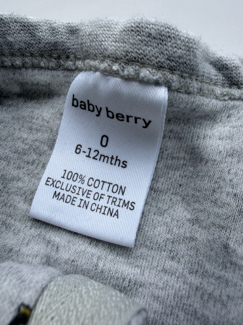 Baby Berry Onesie (6-12M)