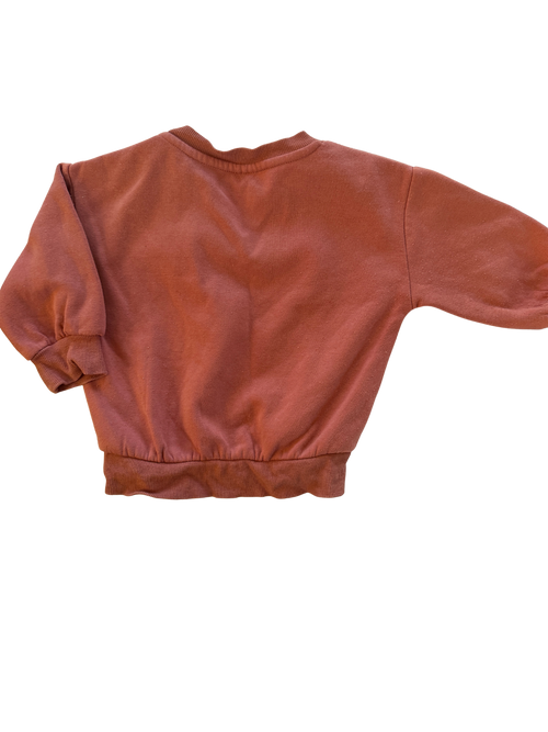 Baby Berry Jumper (12-18M)