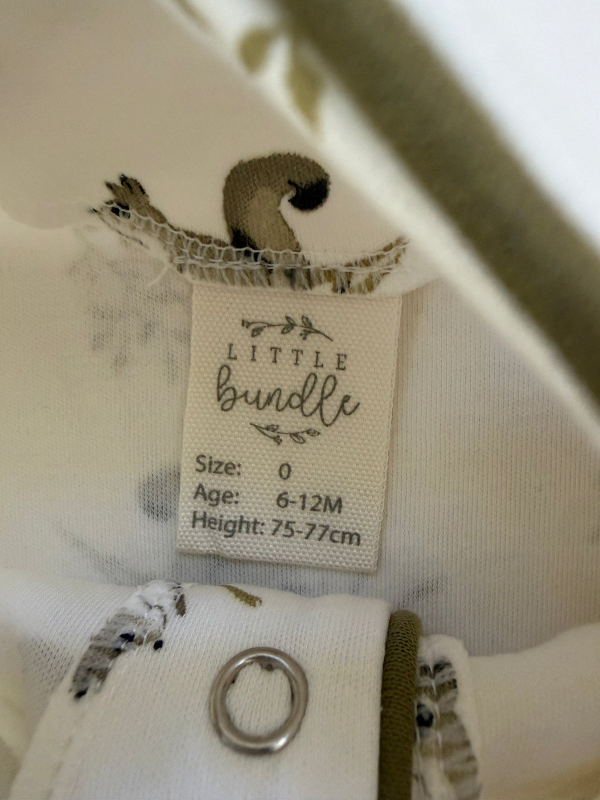 Little Bundle Onesie (6-12M)