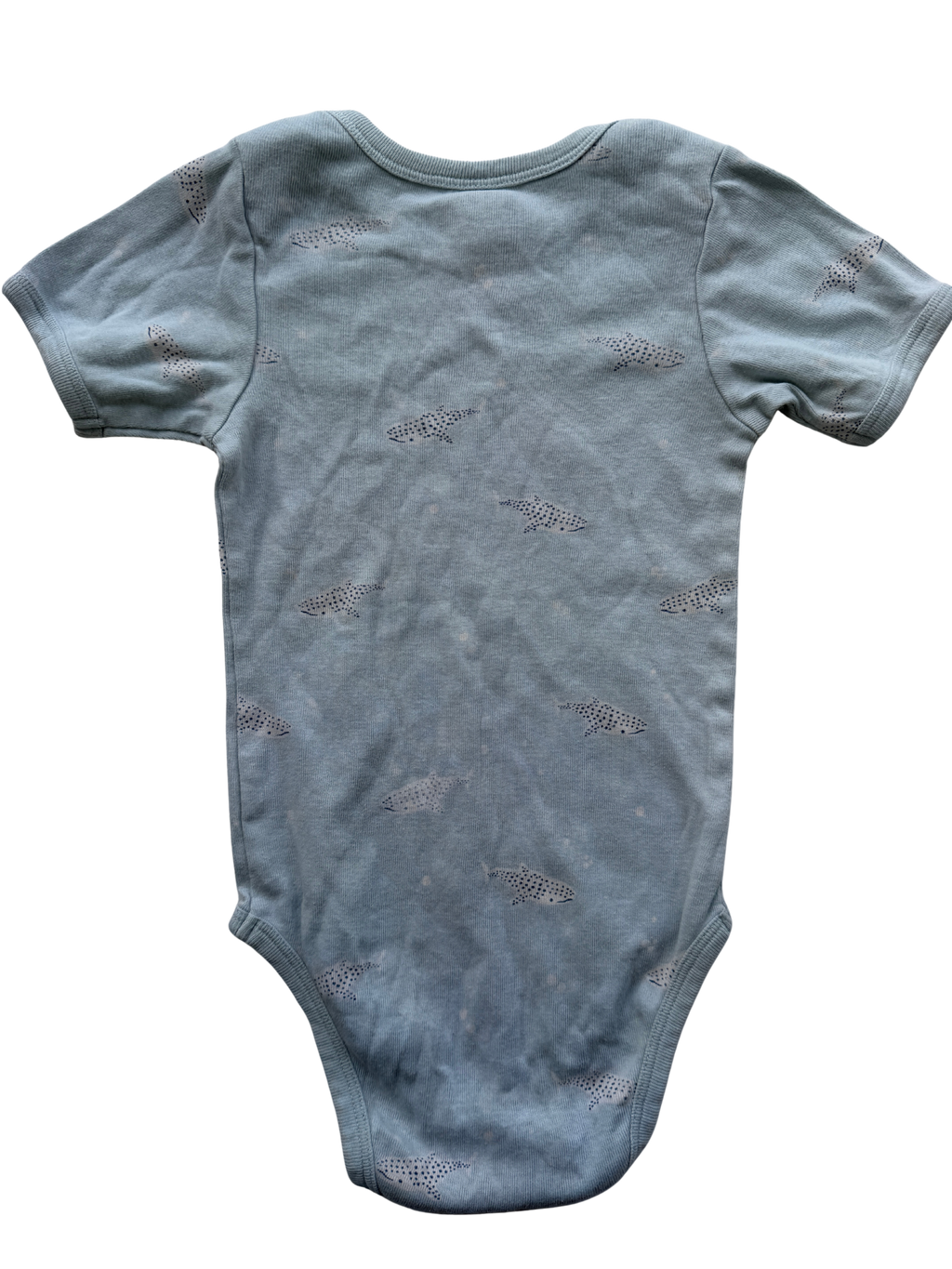 Nature Baby Bodysuit (1)