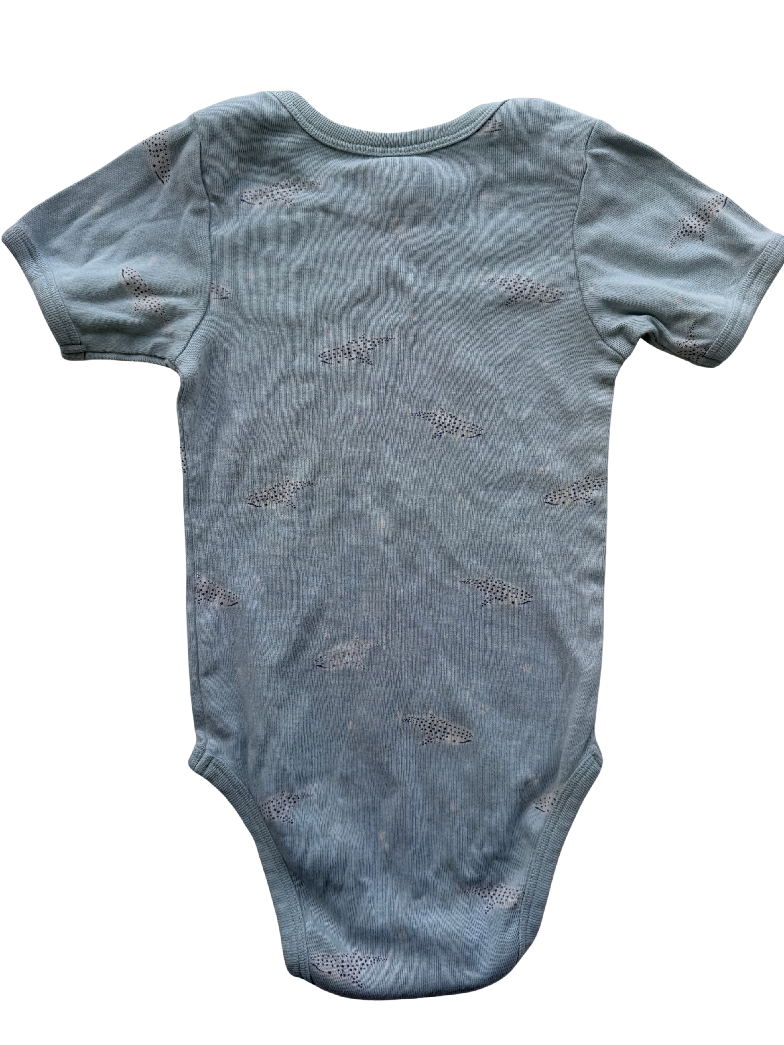 Nature Baby Bodysuit (1)