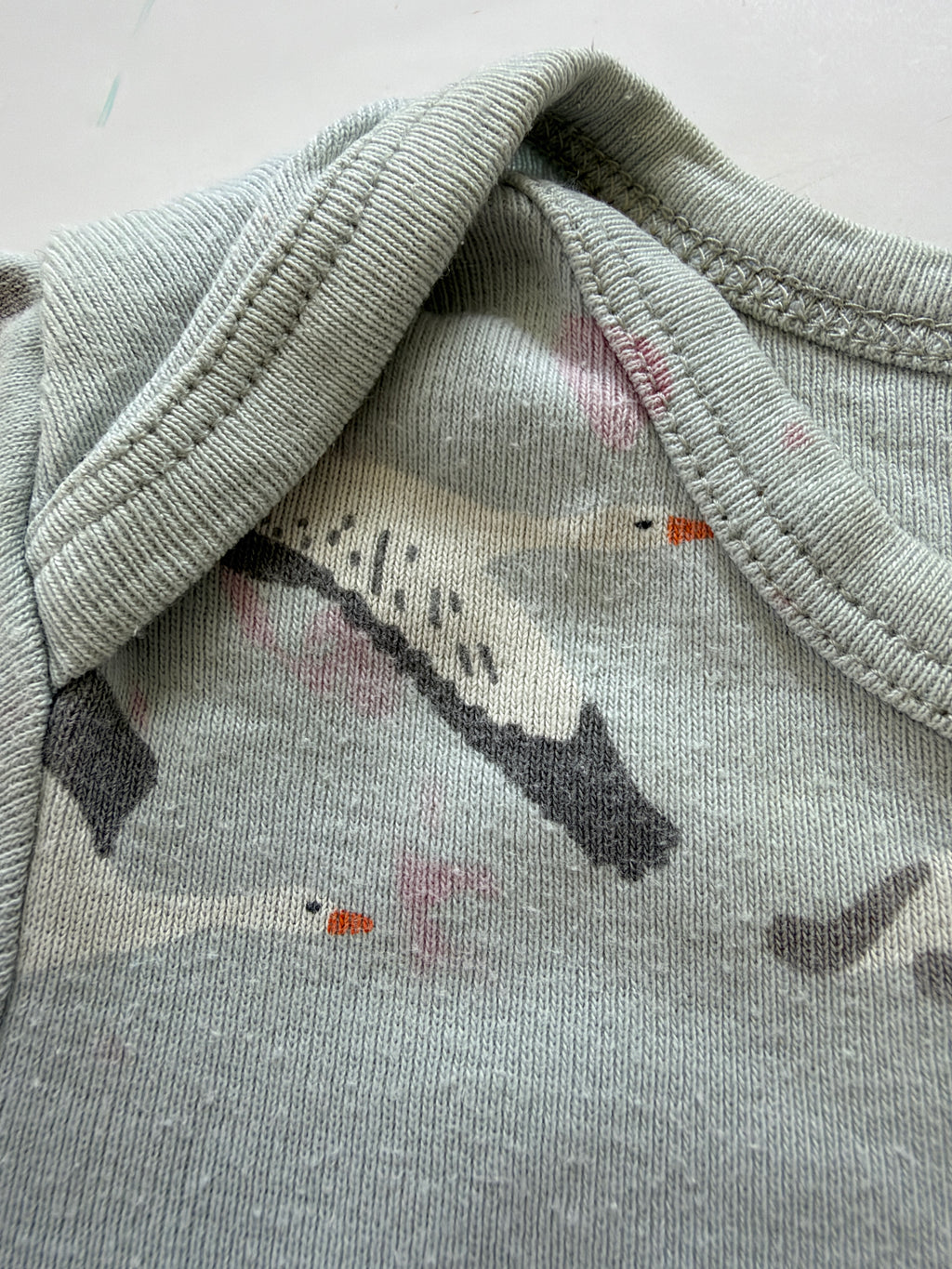 Nature Baby Bodysuit (6-12M)
