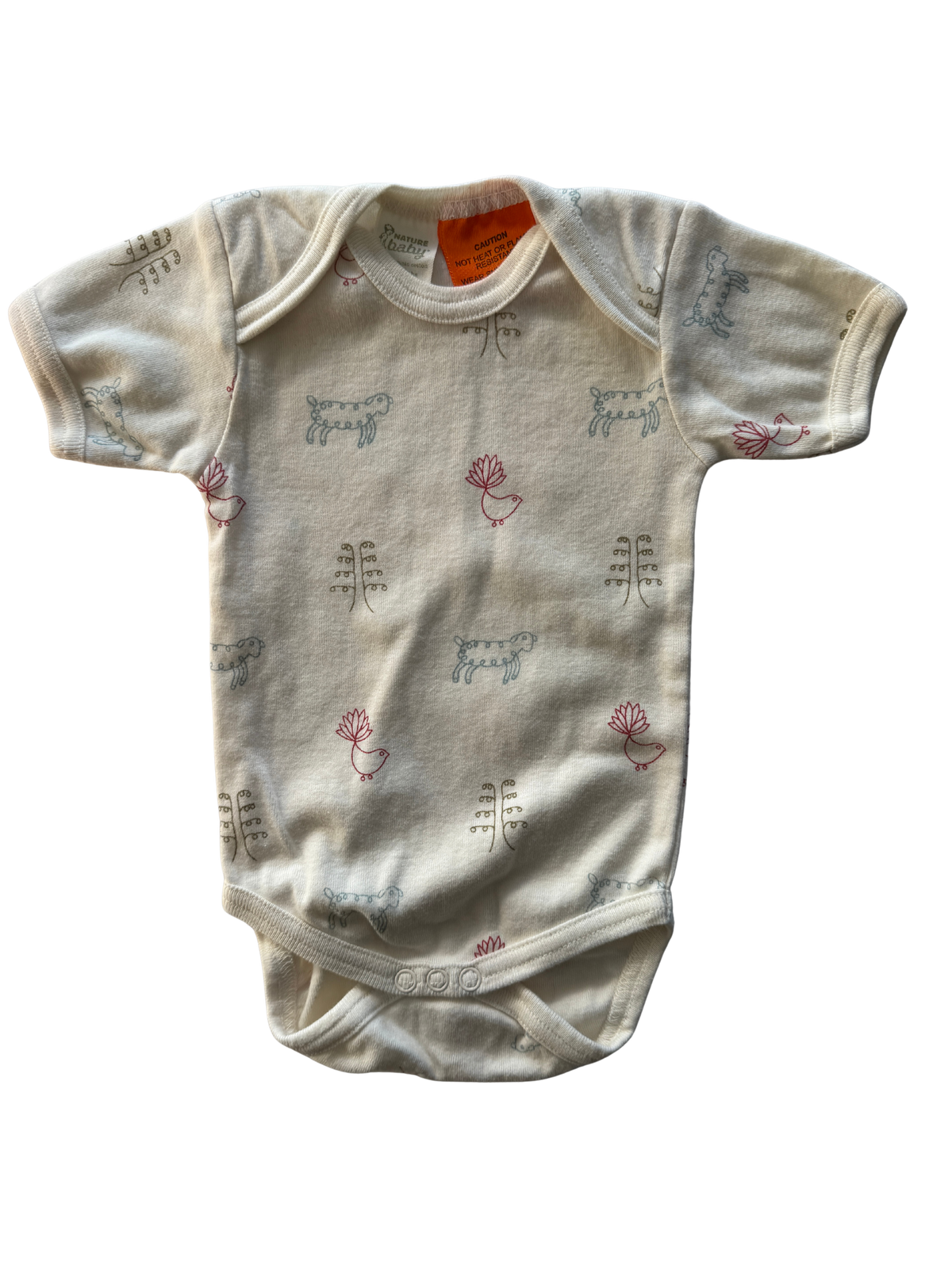 Nature Baby Bodysuit (3-6M)