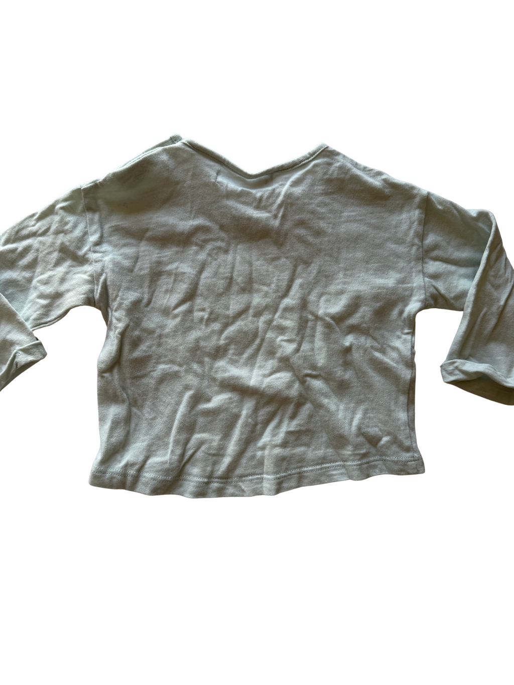 Zara Long Sleeve (3-6M)