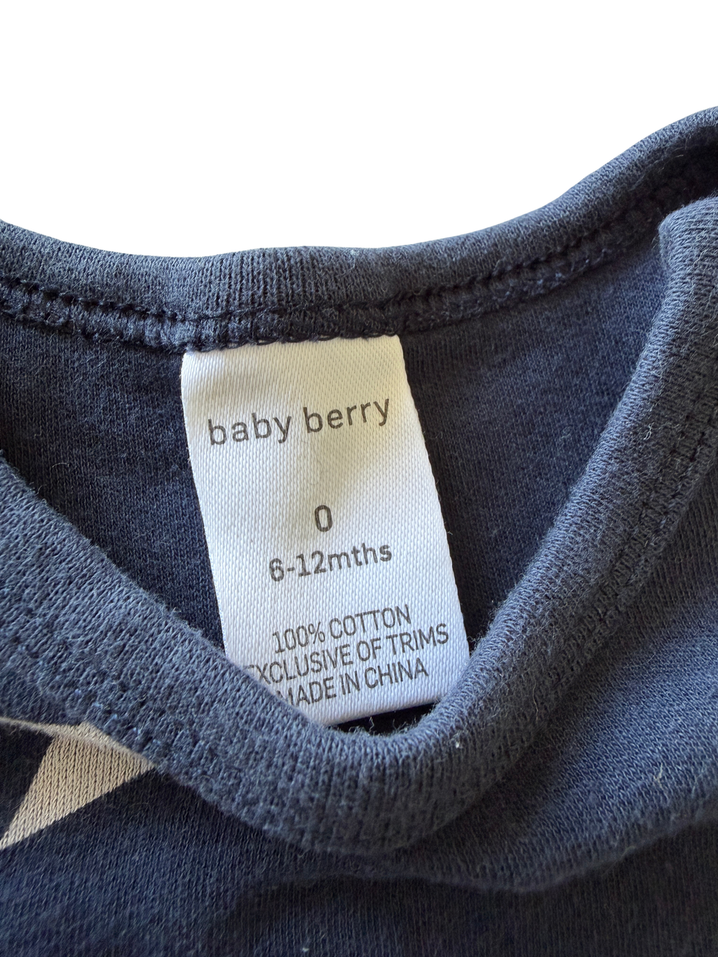 Baby Berry Bodysuit (6-12M)