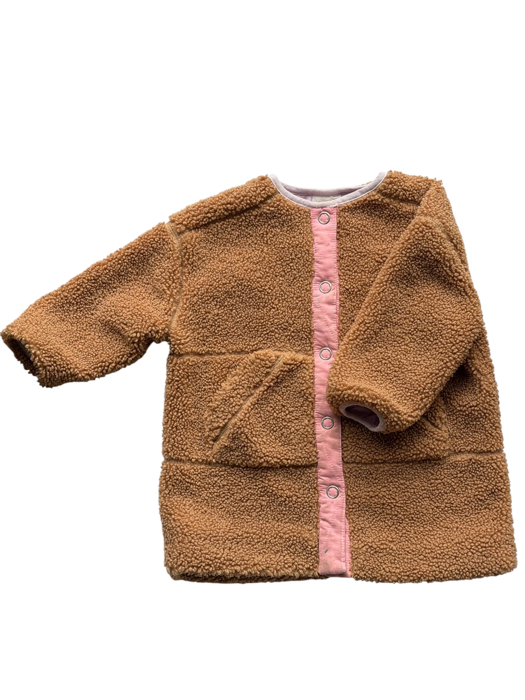 Seed Coat (2)