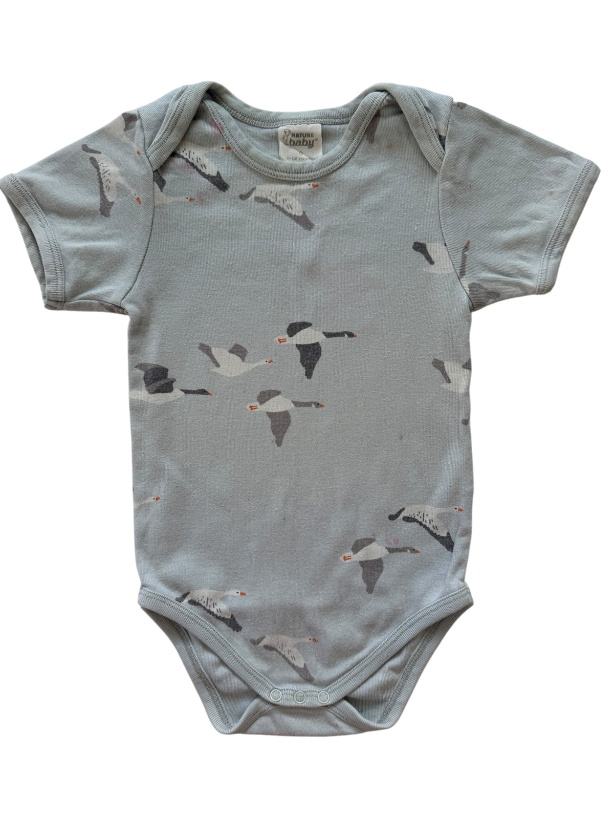 Nature Baby Bodysuit (6-12M)