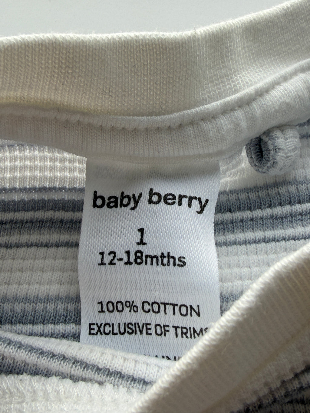 Baby Berry Summer Set (12-18M)