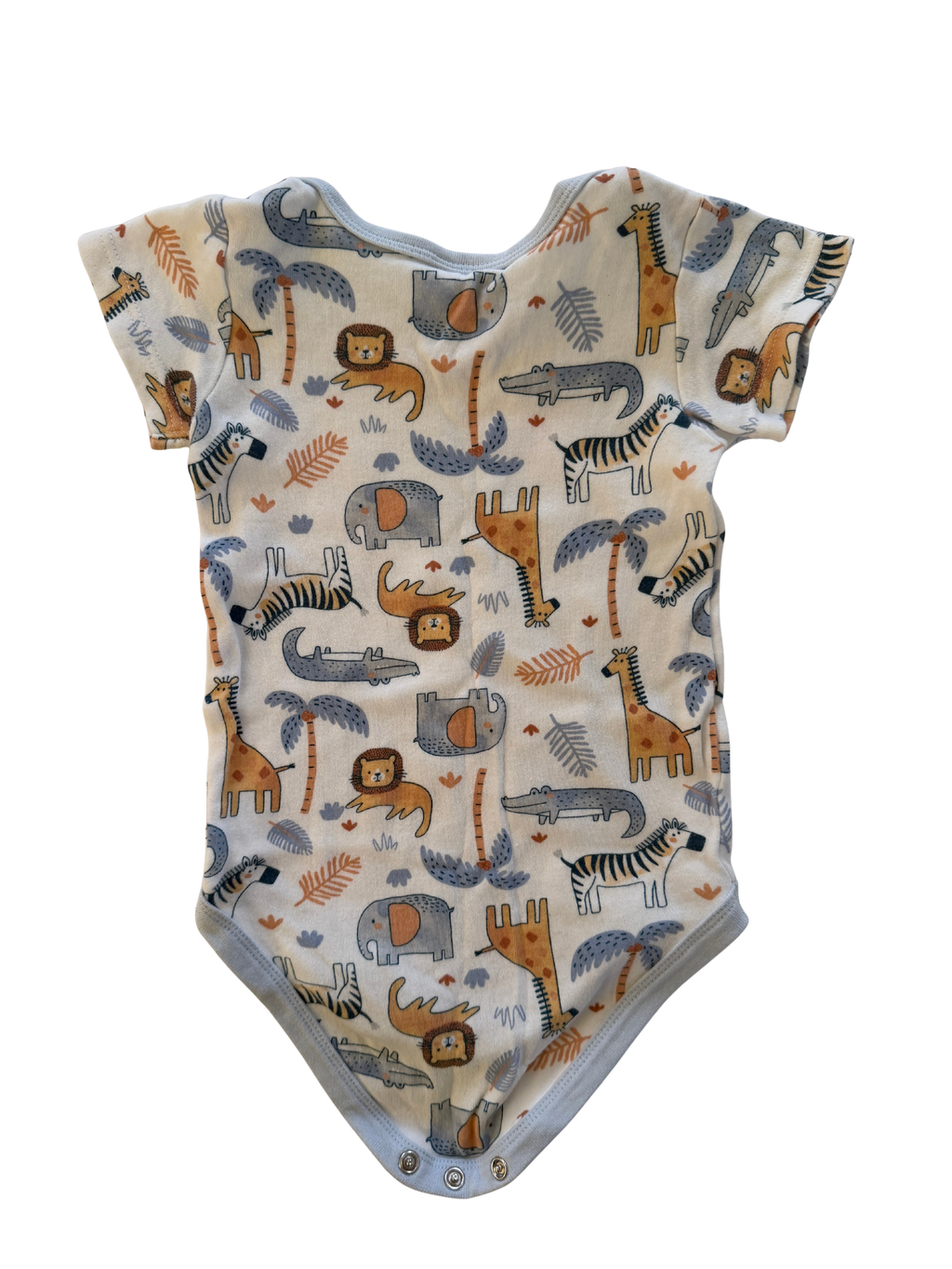 Baby Berry Bodysuit (12-18M)