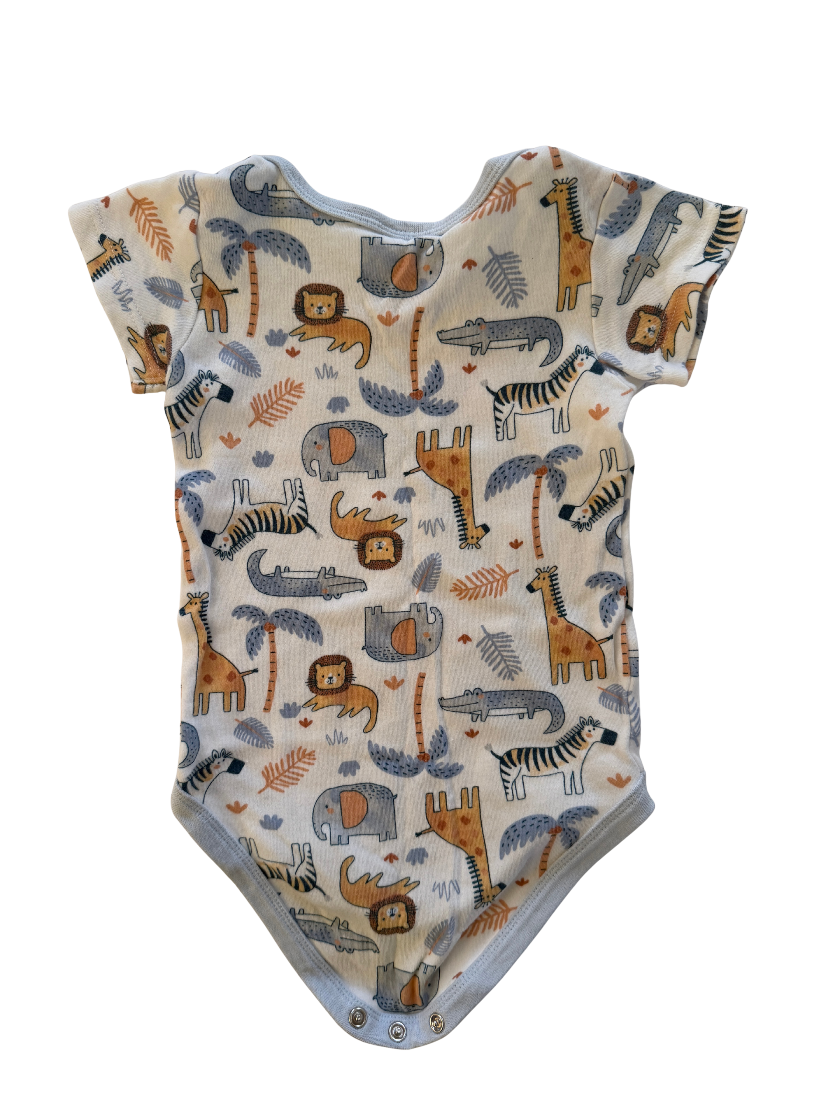 Baby Berry Bodysuit (12-18M)