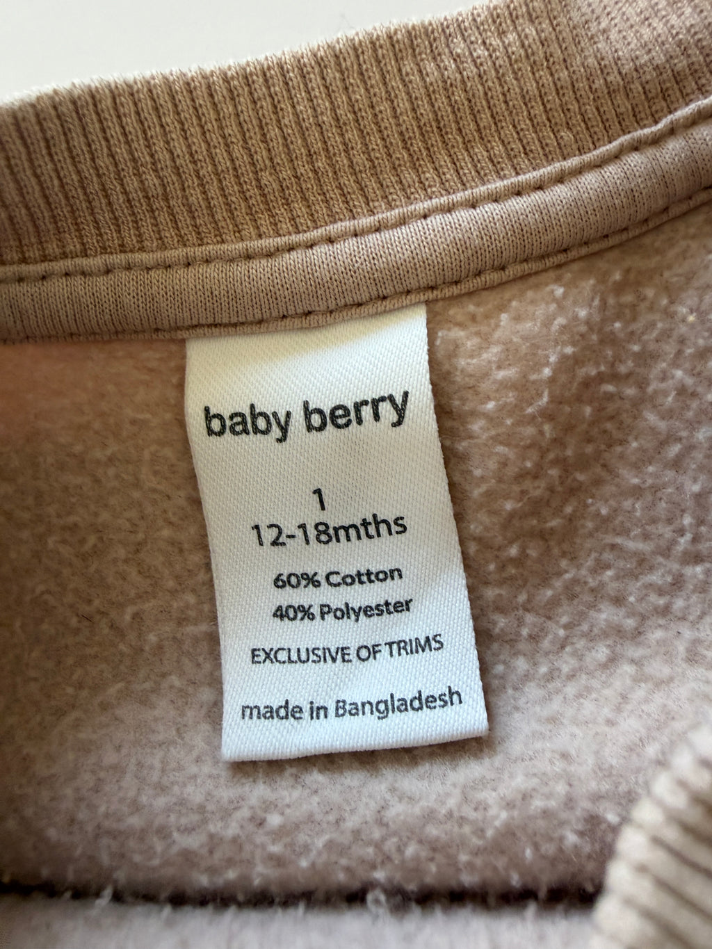 Baby Berry Jumper (1)