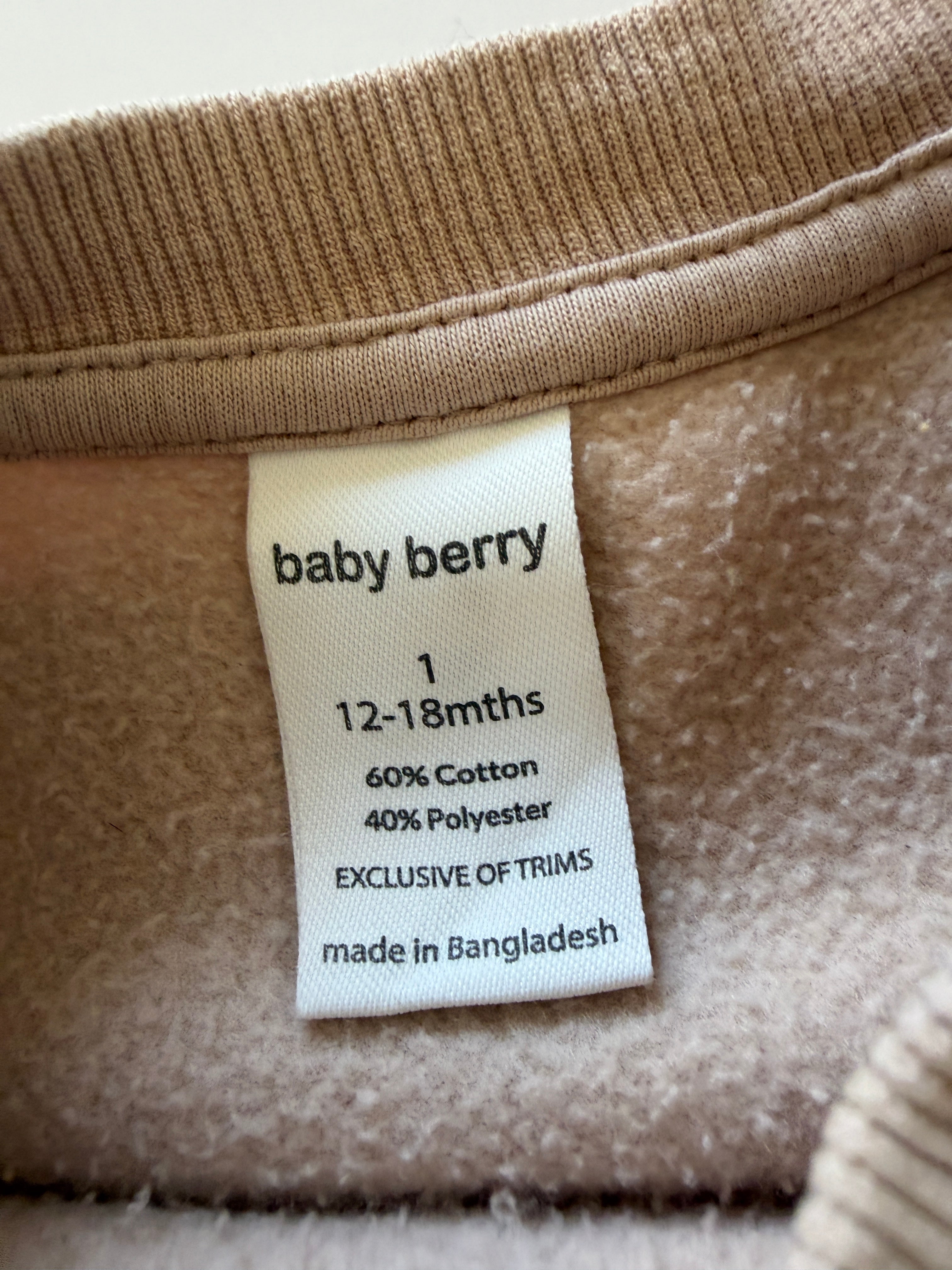 Baby Berry Jumper (1)