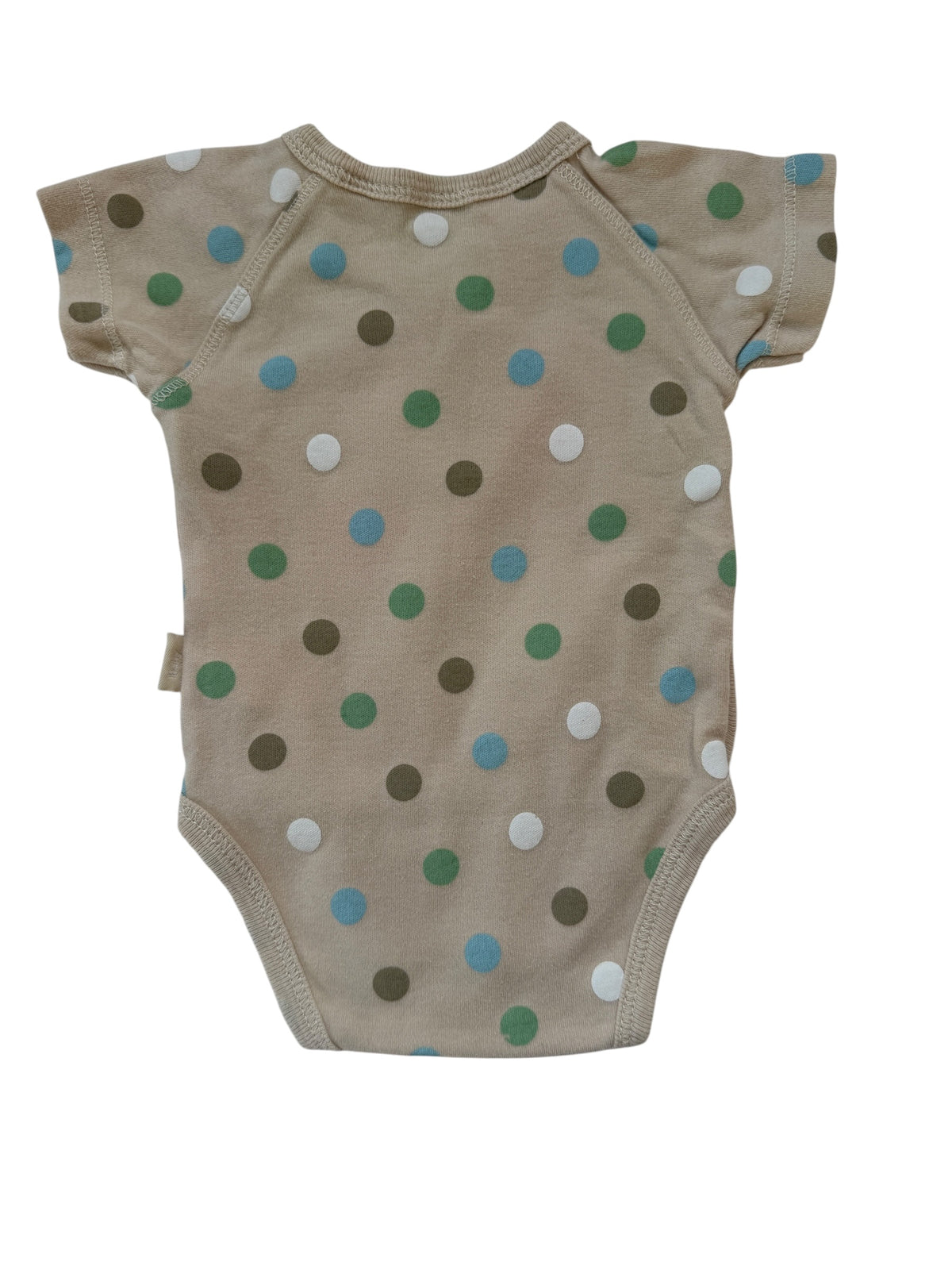Pumpkin Patch Bodysuit (NB)
