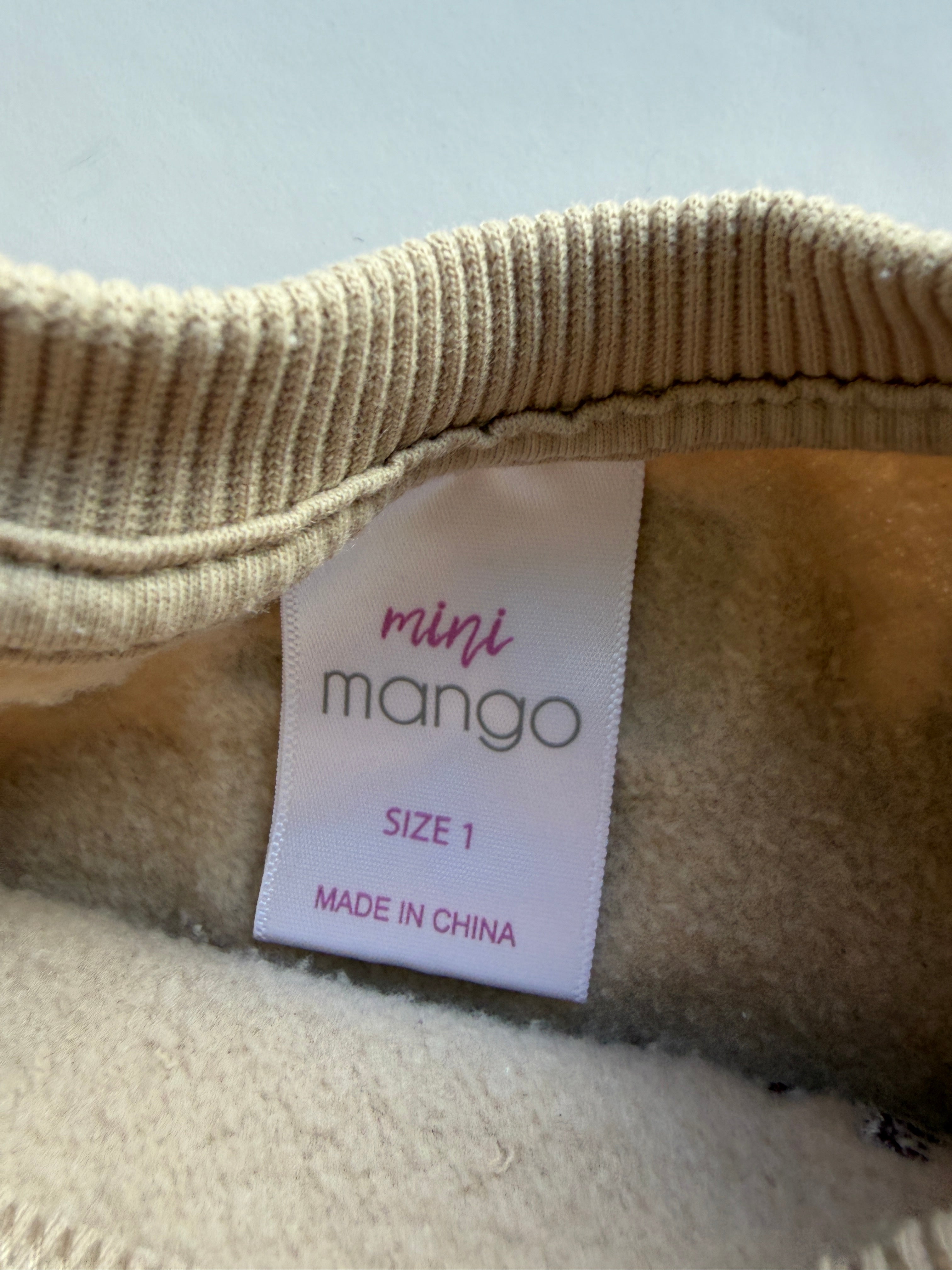 Mini Mango Jumper (1)