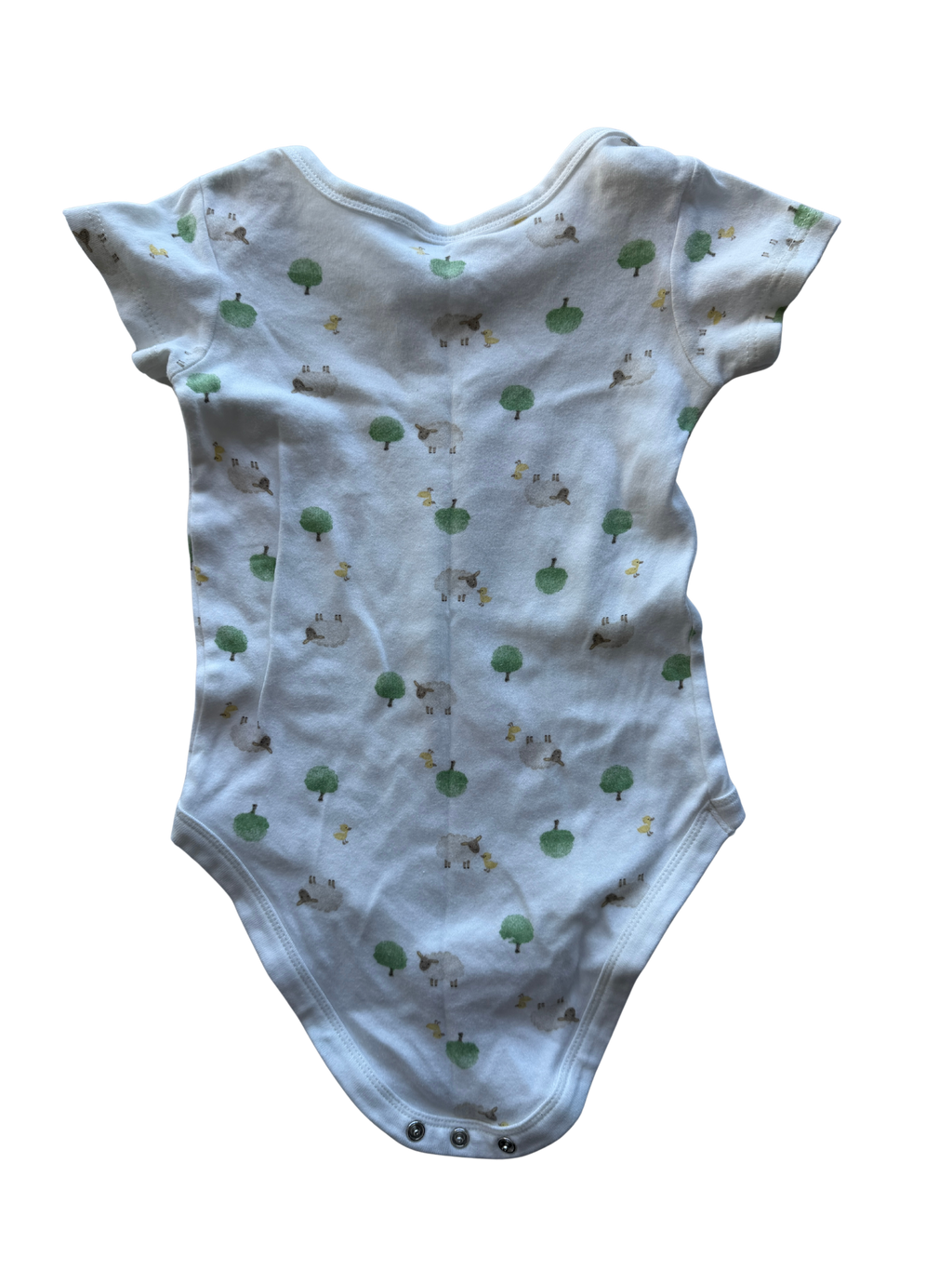 Baby Berry Bodysuit (2)