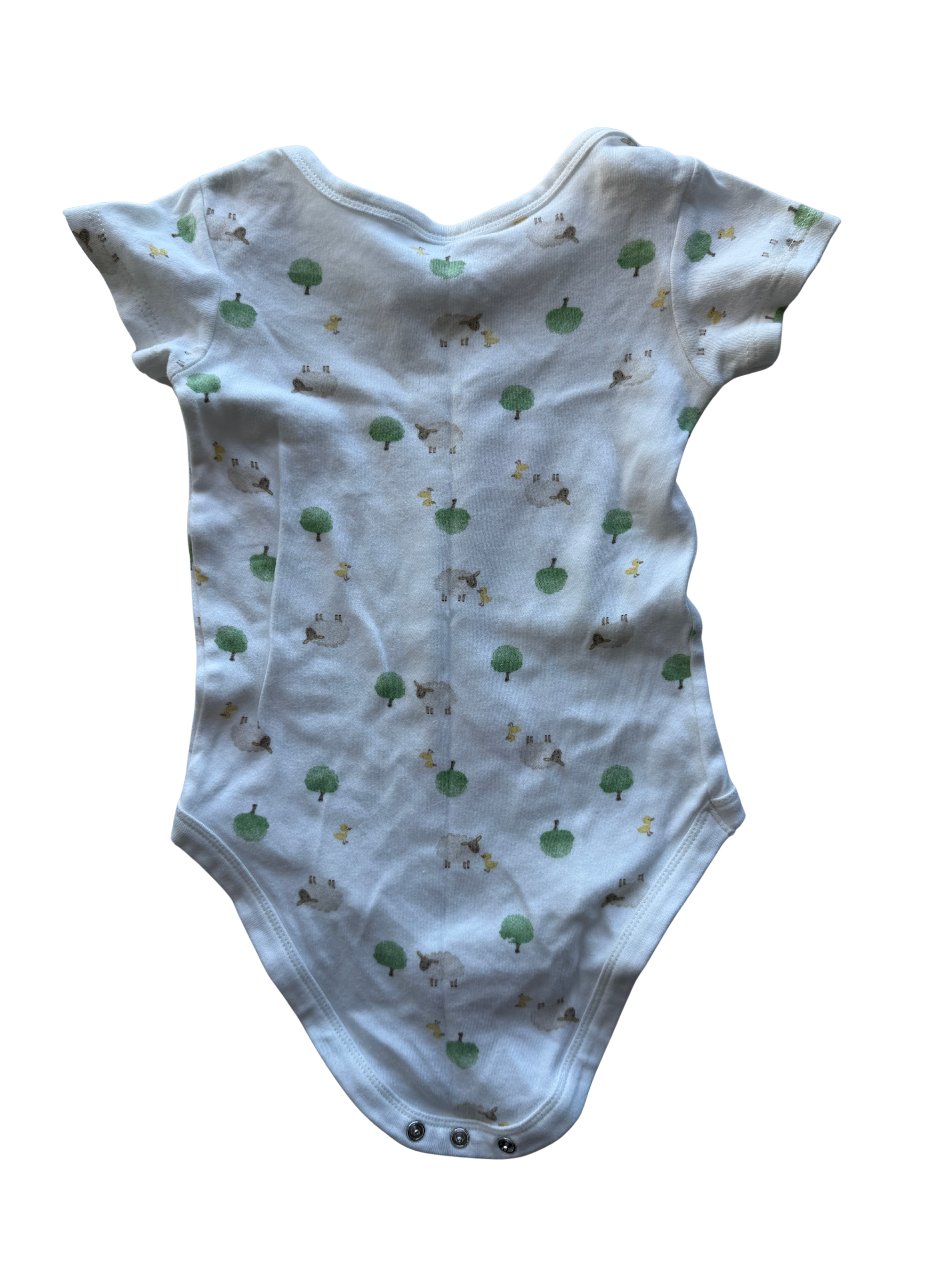 Baby Berry Bodysuit (2)