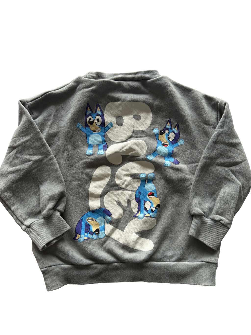 Zara Bluey Jumper (5)