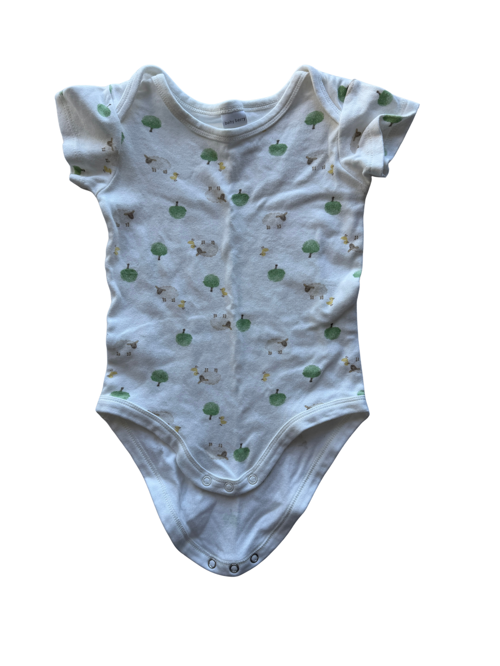 Baby Berry Bodysuit (2)