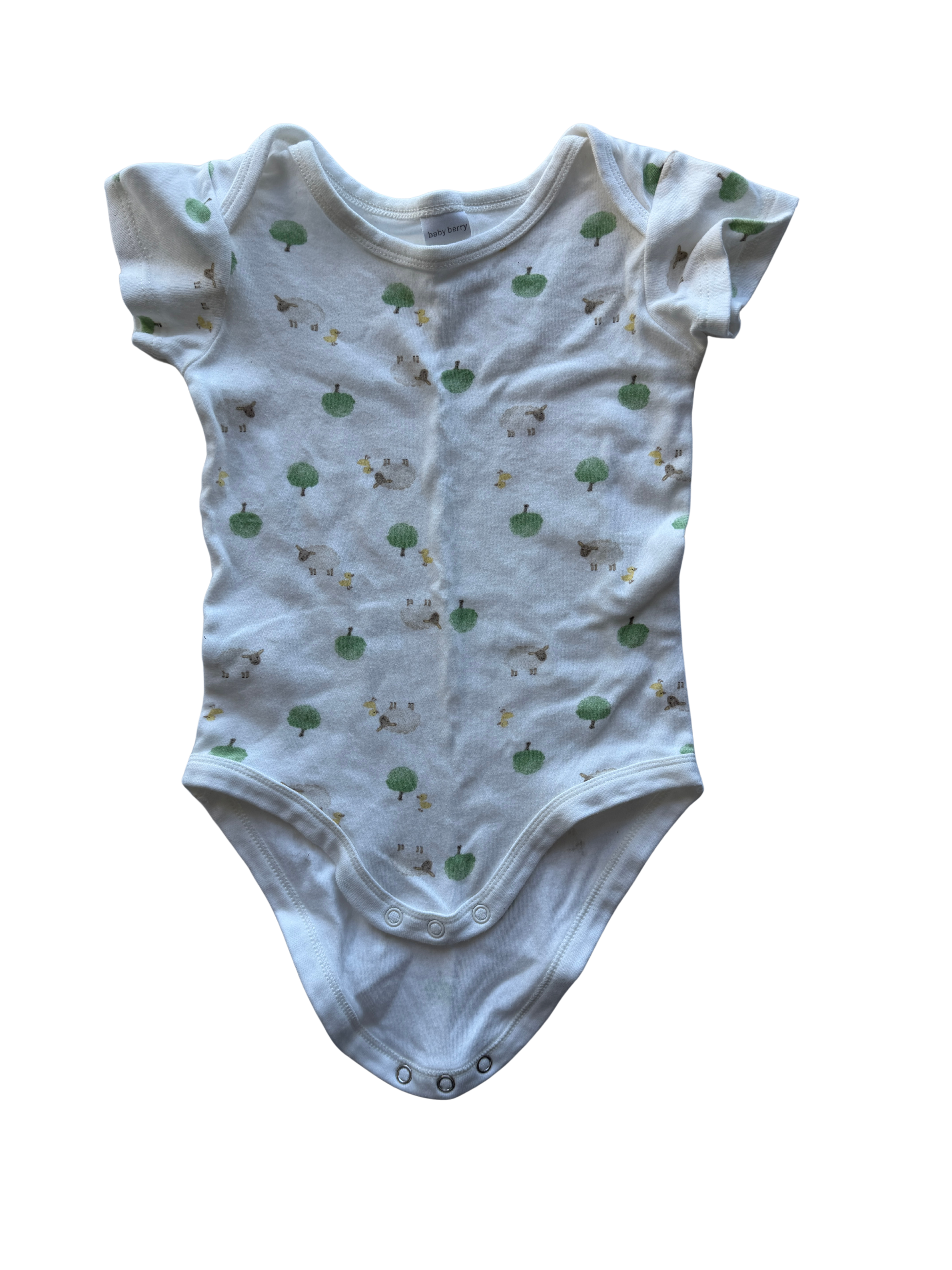 Baby Berry Bodysuit (2)