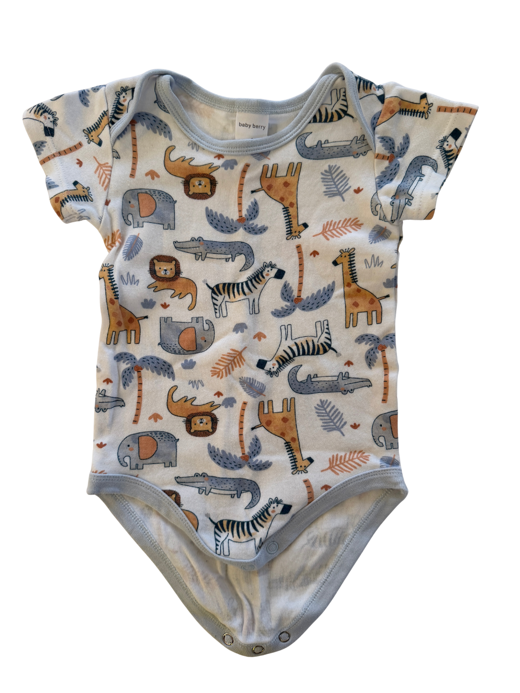 Baby Berry Bodysuit (12-18M)