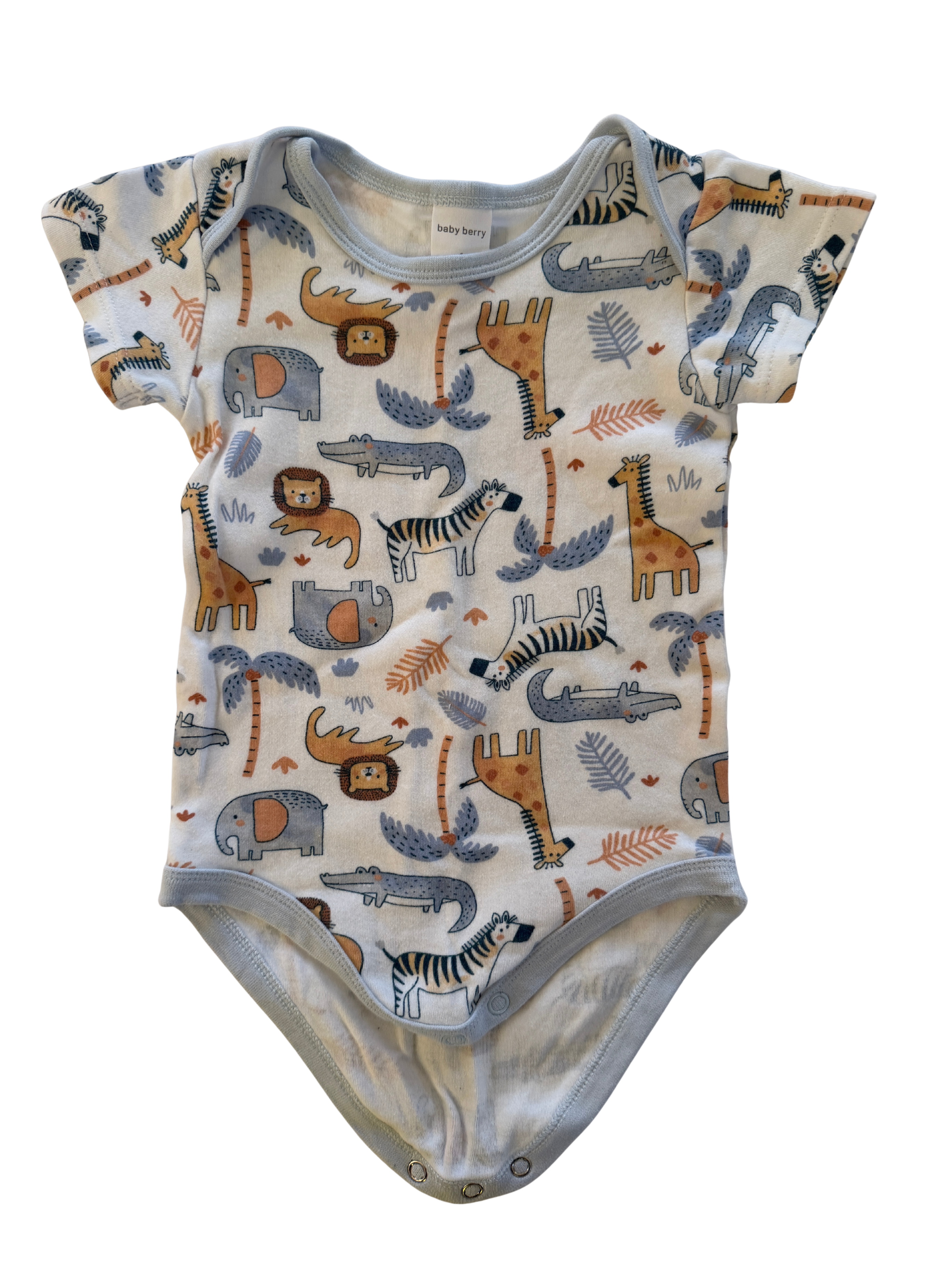 Baby Berry Bodysuit (12-18M)