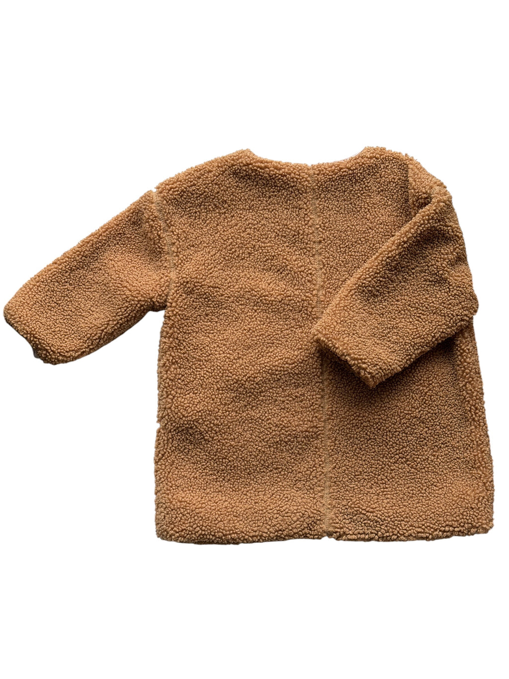Seed Coat (2)