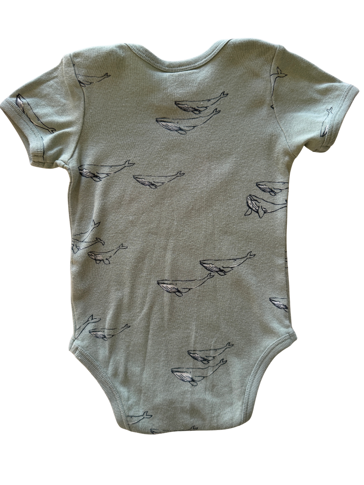Nature Baby Bodysuit (3-6M)