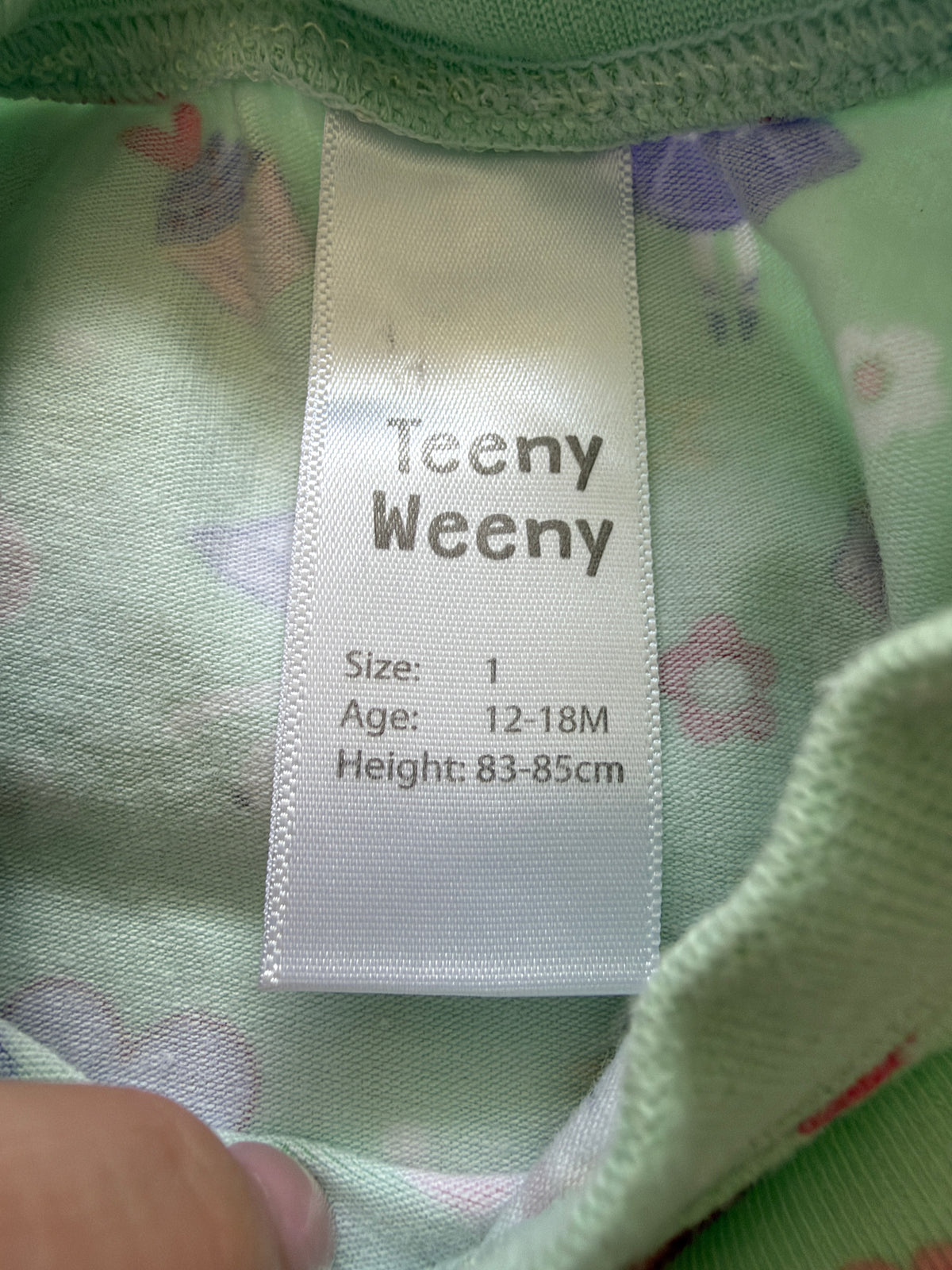 Teeny Weeny Dress (1)