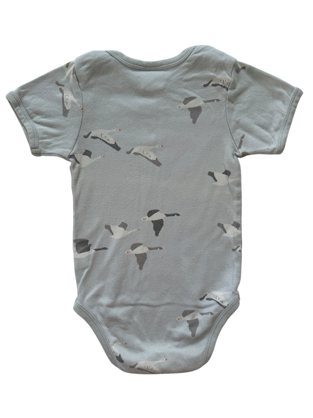 Nature Baby Bodysuit (6-12M)