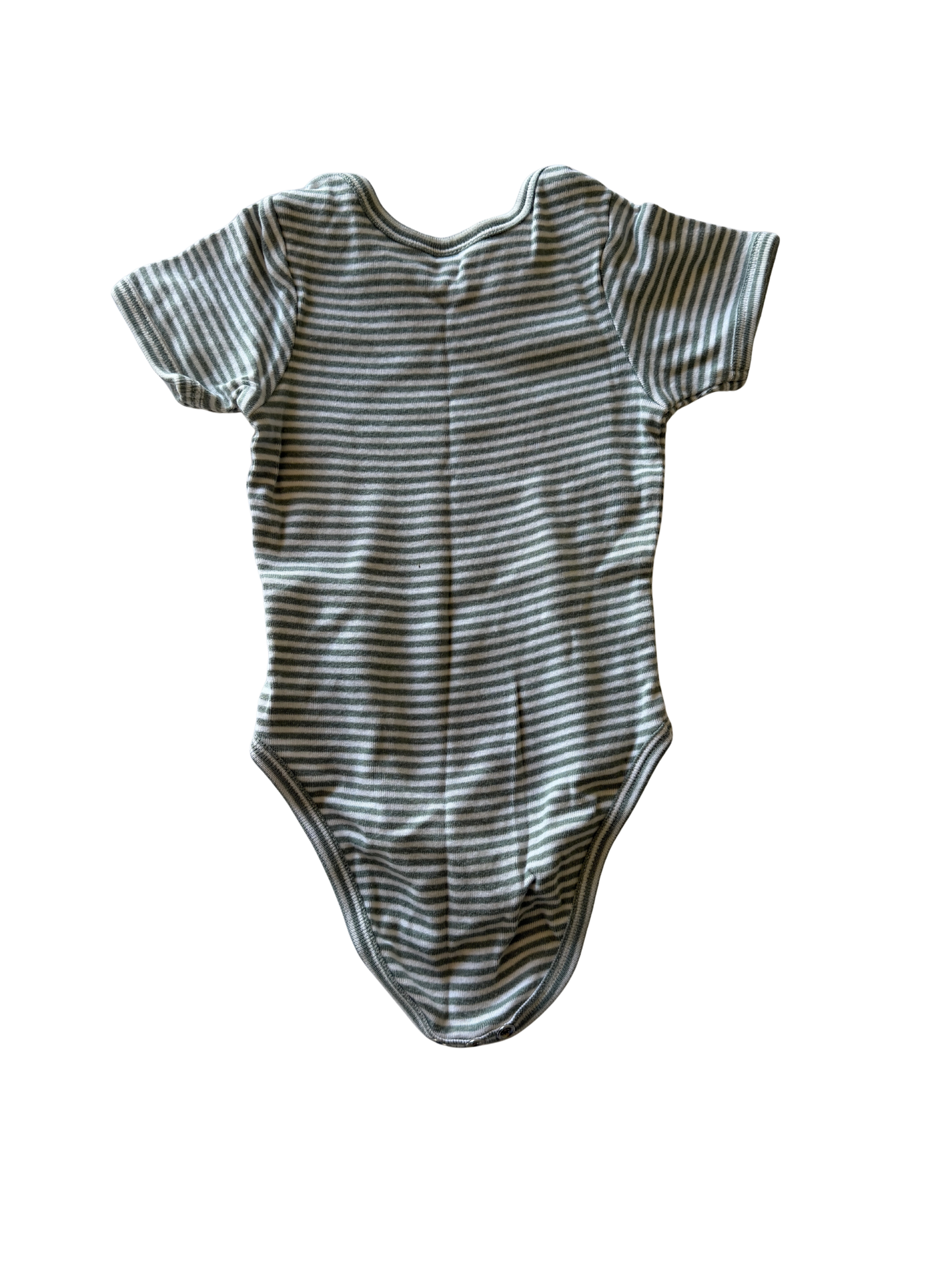 Nature Baby Bodysuit (3-6M)
