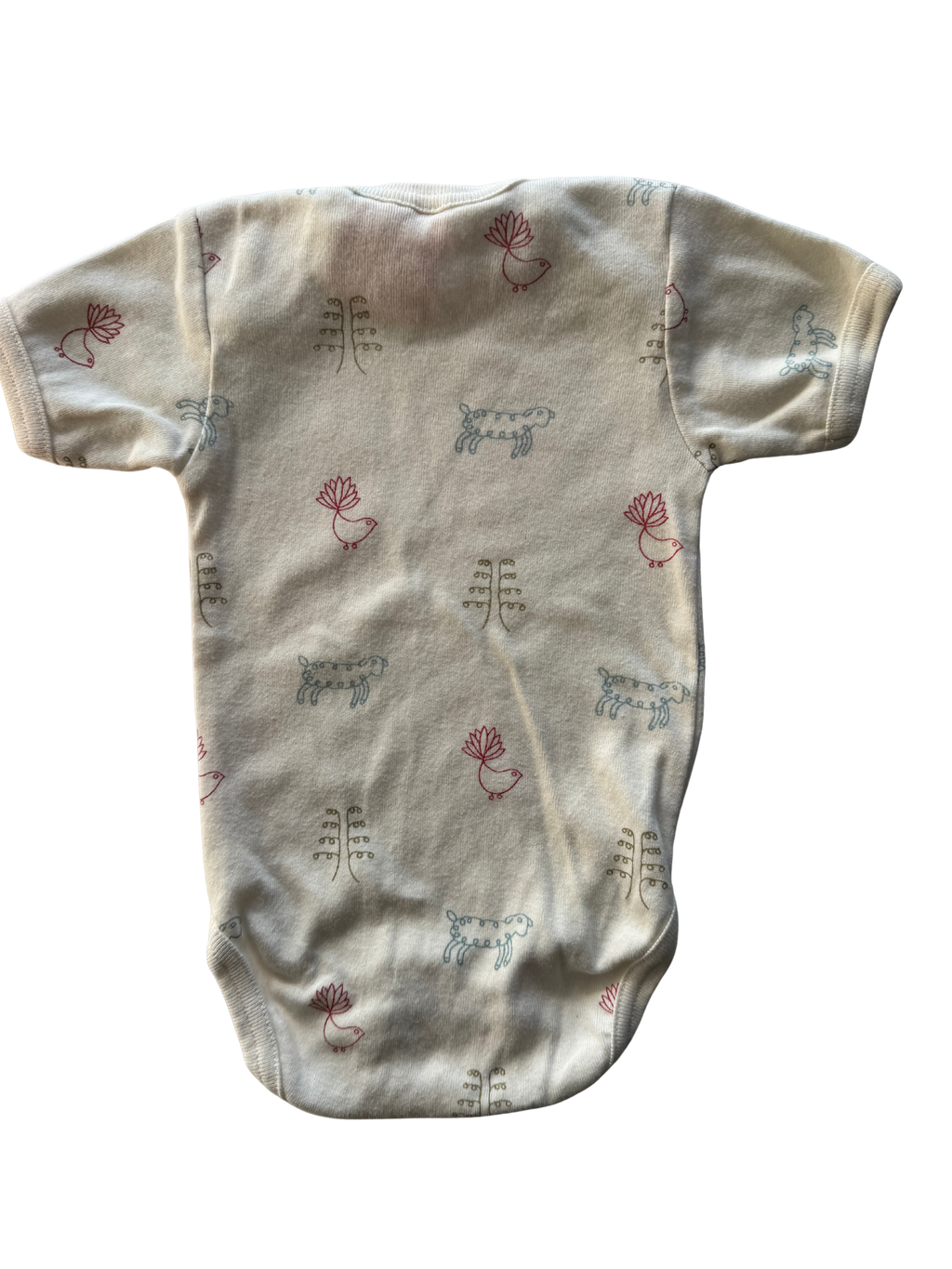 Nature Baby Bodysuit (3-6M)