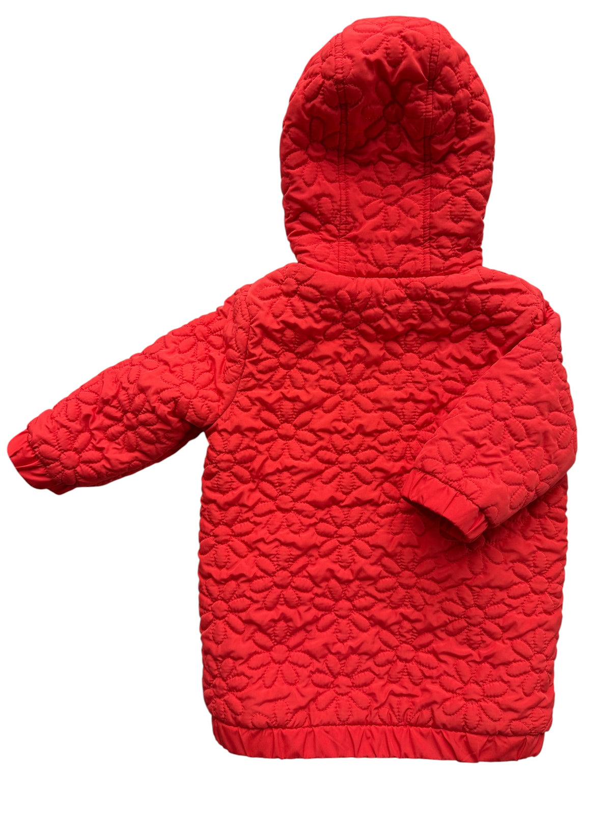 Seed Coat (2)