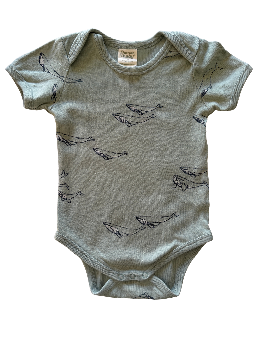 Nature Baby Bodysuit (3-6M)