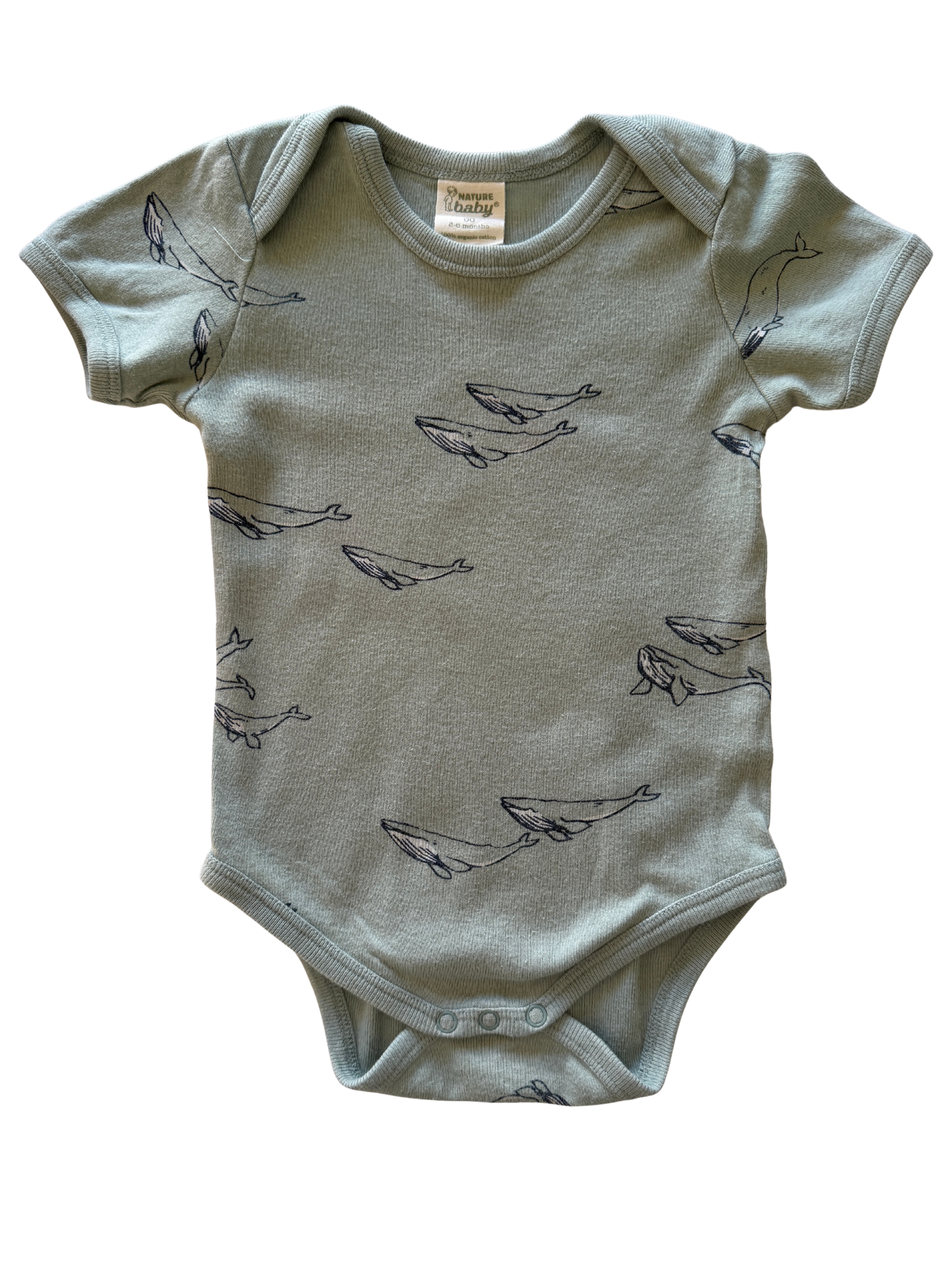 Nature Baby Bodysuit (3-6M)