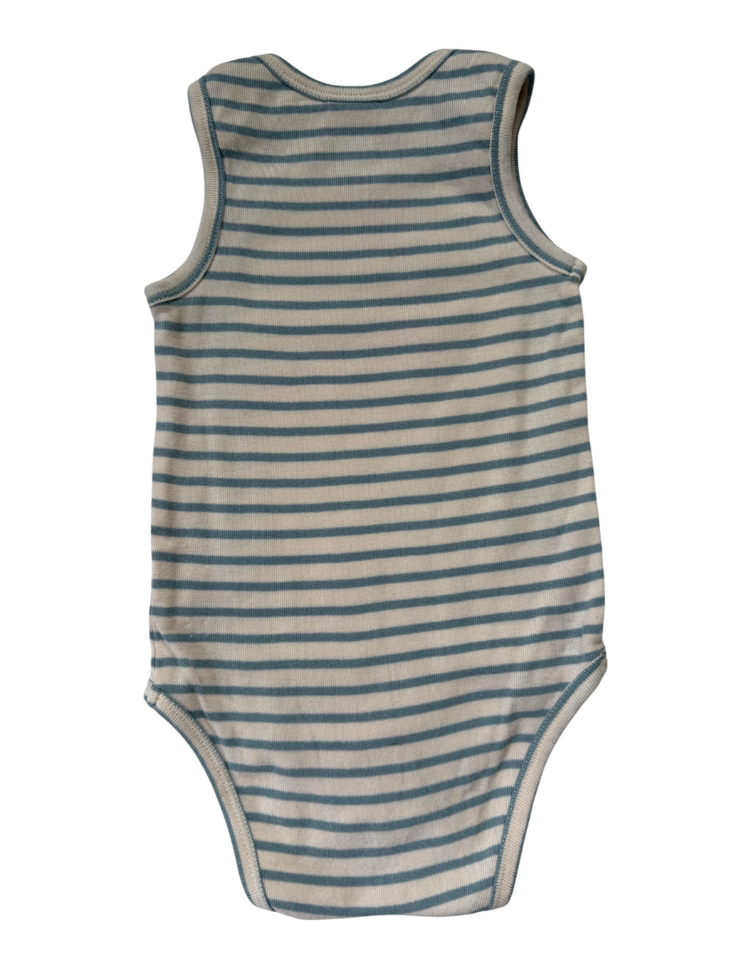 Nature Baby Bodysuit (6-12M)