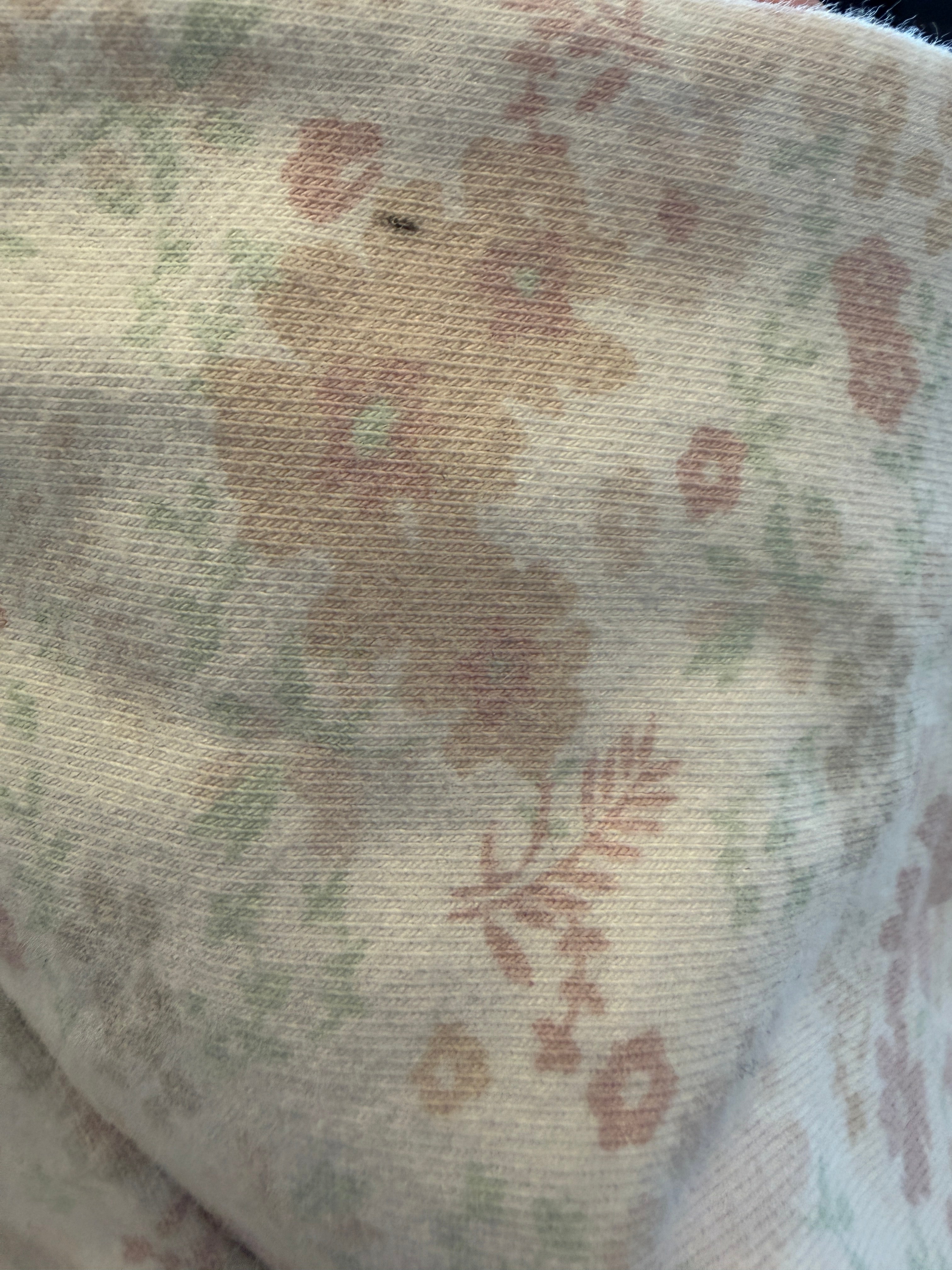 Jamie Kay Jumper (2)